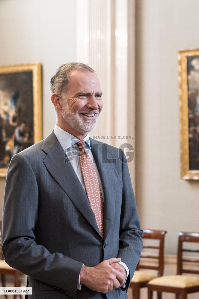 King Felipe VI during an audience - Seville