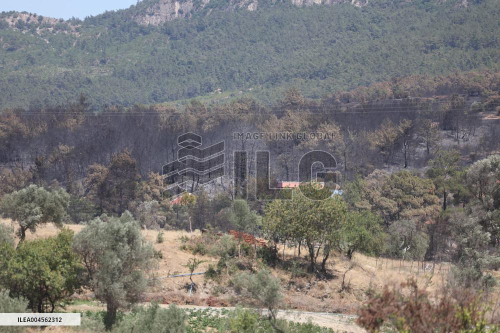 Izmir Wildfires 50 Thousand People Evacuated - Turkey