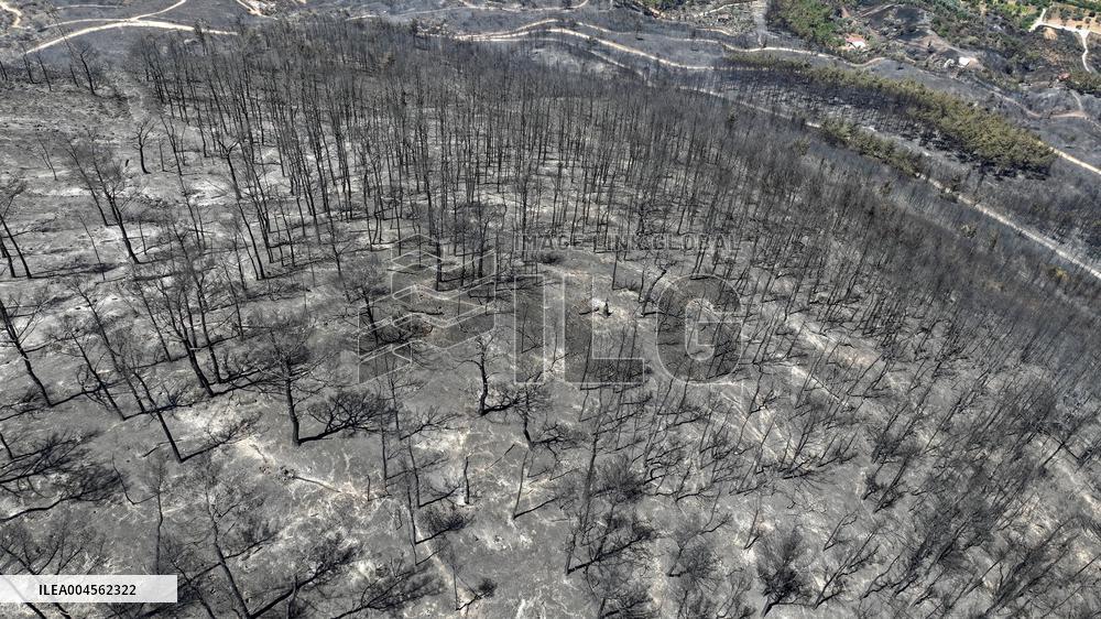 Izmir Wildfires 50 Thousand People Evacuated - Turkey