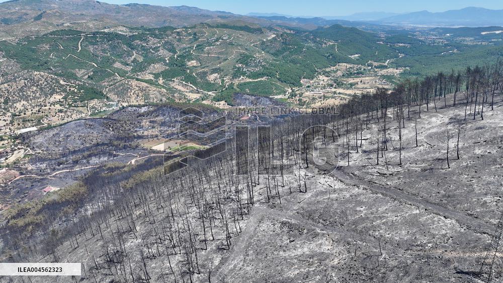 Izmir Wildfires 50 Thousand People Evacuated - Turkey