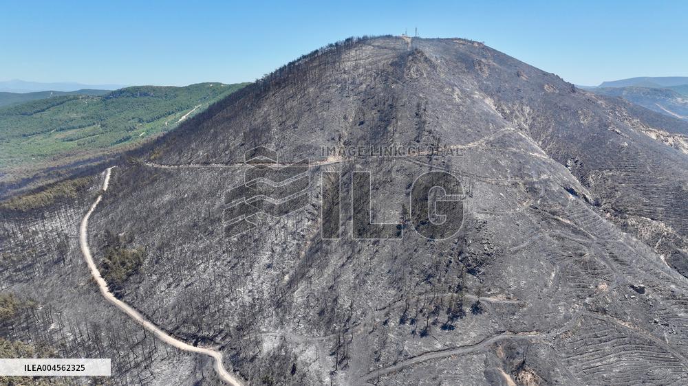 Izmir Wildfires 50 Thousand People Evacuated - Turkey