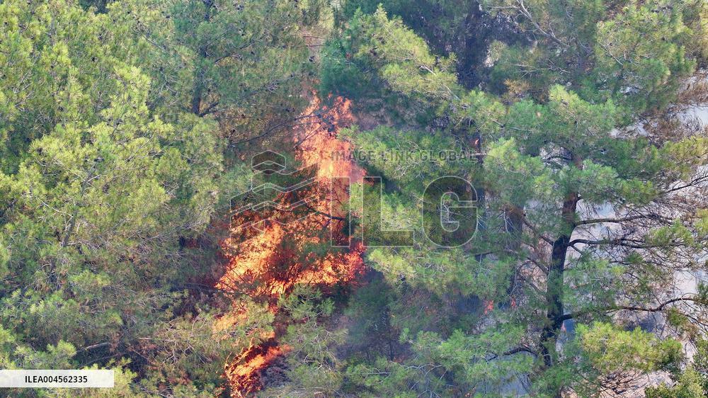 Izmir Wildfires 50 Thousand People Evacuated - Turkey