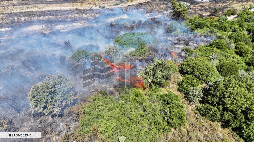 Izmir Wildfires 50 Thousand People Evacuated - Turkey