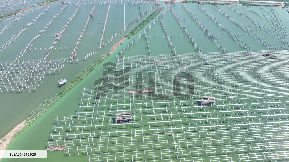 China Photovoltaic Industry