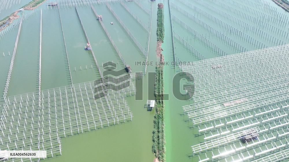 China Photovoltaic Industry