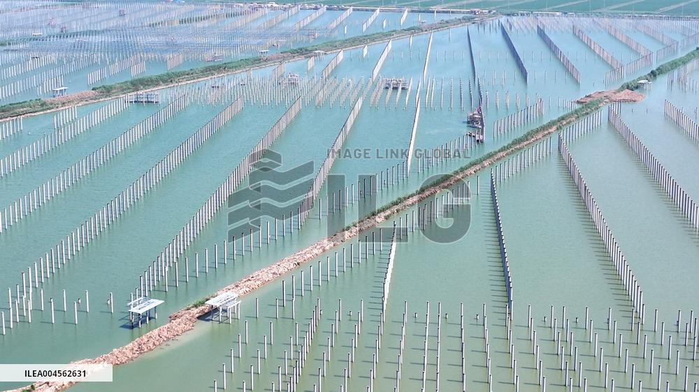 China Photovoltaic Industry