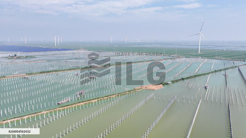 China Photovoltaic Industry