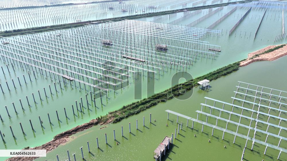 China Photovoltaic Industry