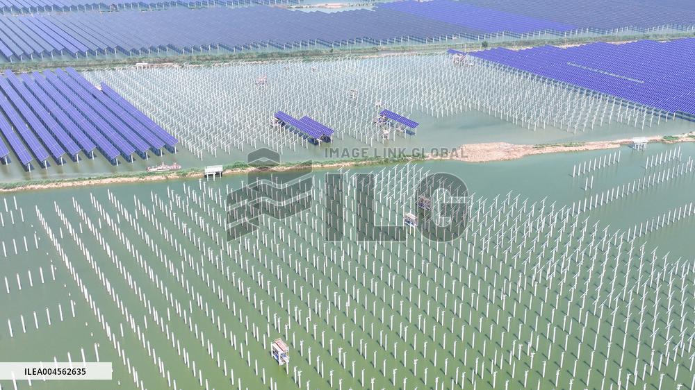 China Photovoltaic Industry
