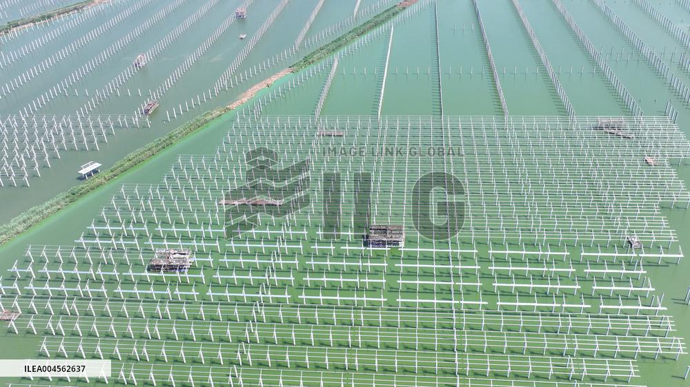 China Photovoltaic Industry