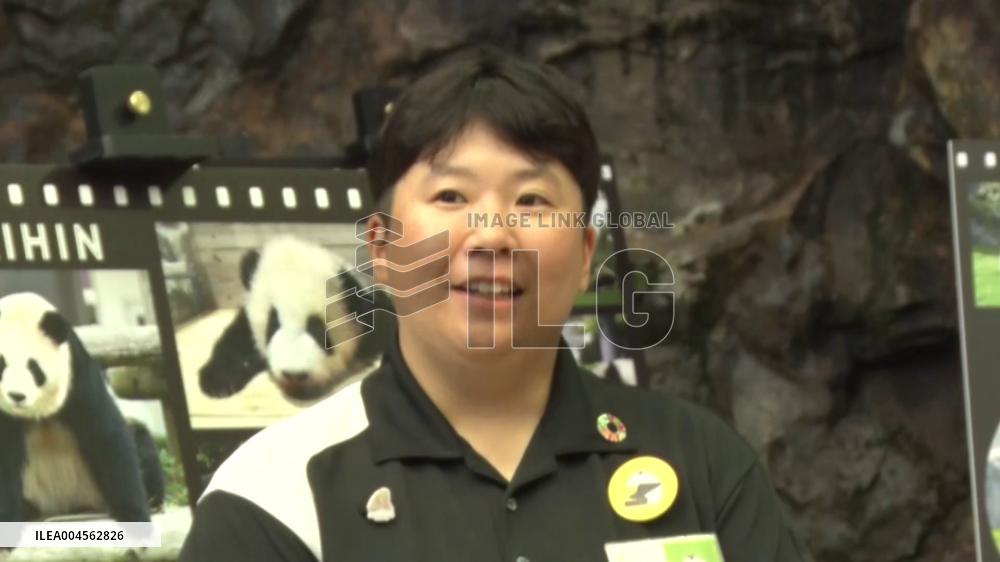 All 4 pandas at west Japan zoo returned to China