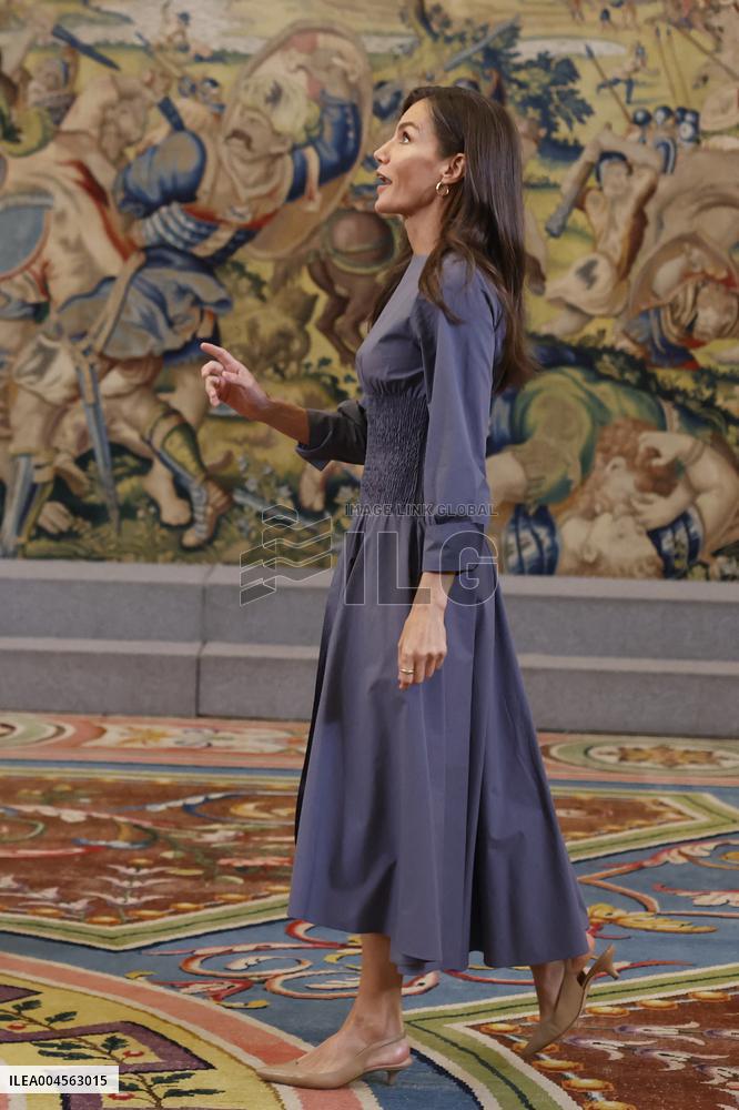 Queen Letizia Receives In Audience - Madrid