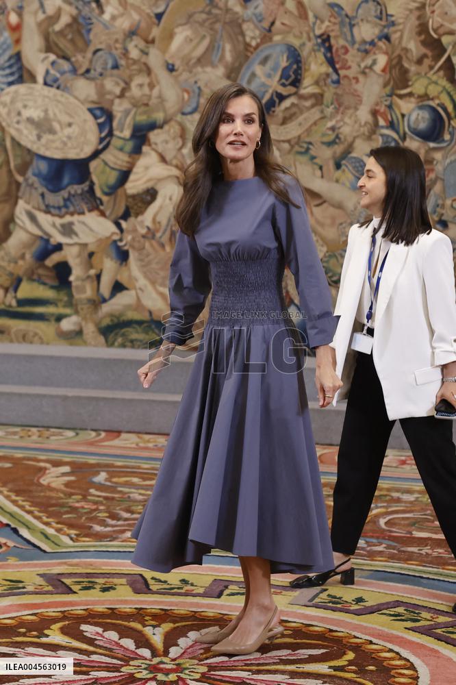 Queen Letizia Receives In Audience - Madrid