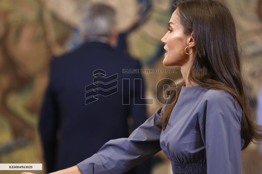 Queen Letizia Receives In Audience - Madrid