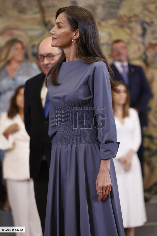Queen Letizia Receives In Audience - Madrid