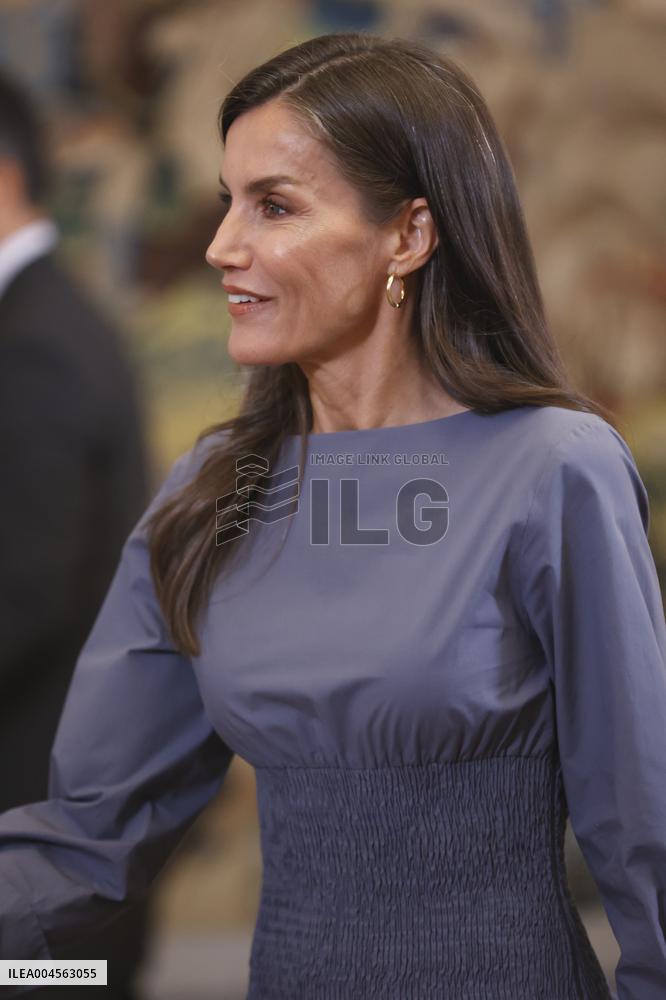 Queen Letizia Receives In Audience - Madrid