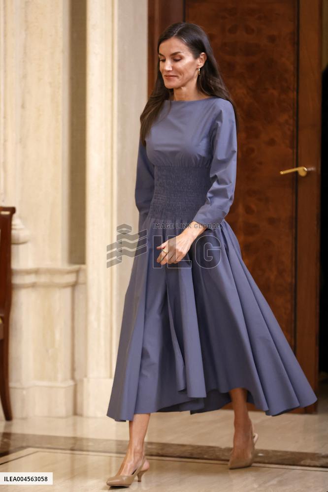 Queen Letizia Receives In Audience - Madrid