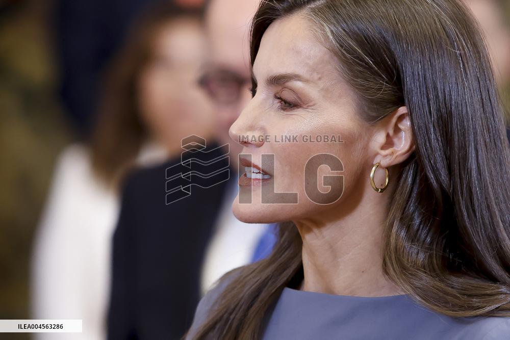 Queen Letizia During An Audience - Madrid