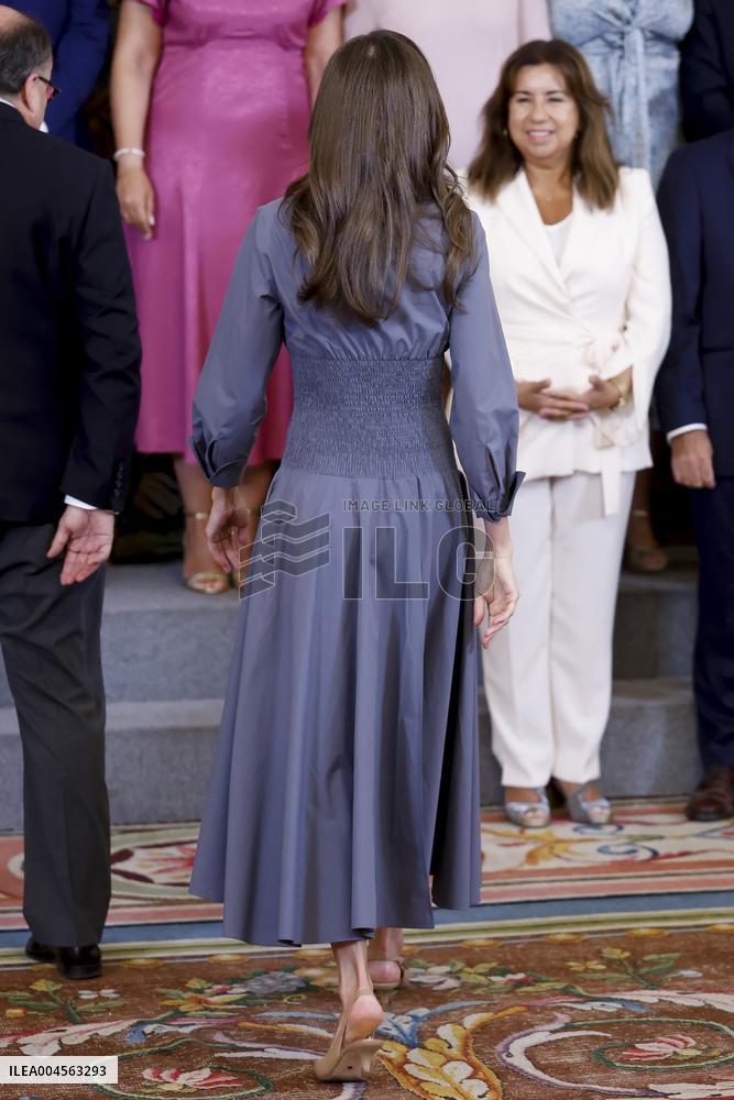 Queen Letizia During An Audience - Madrid