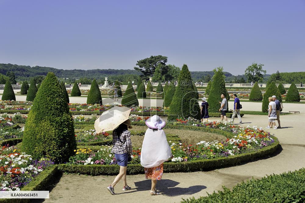 Illustration - Heatwave - Paris