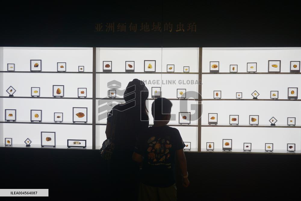 Global Amber Art Exhibition in Hangzhou