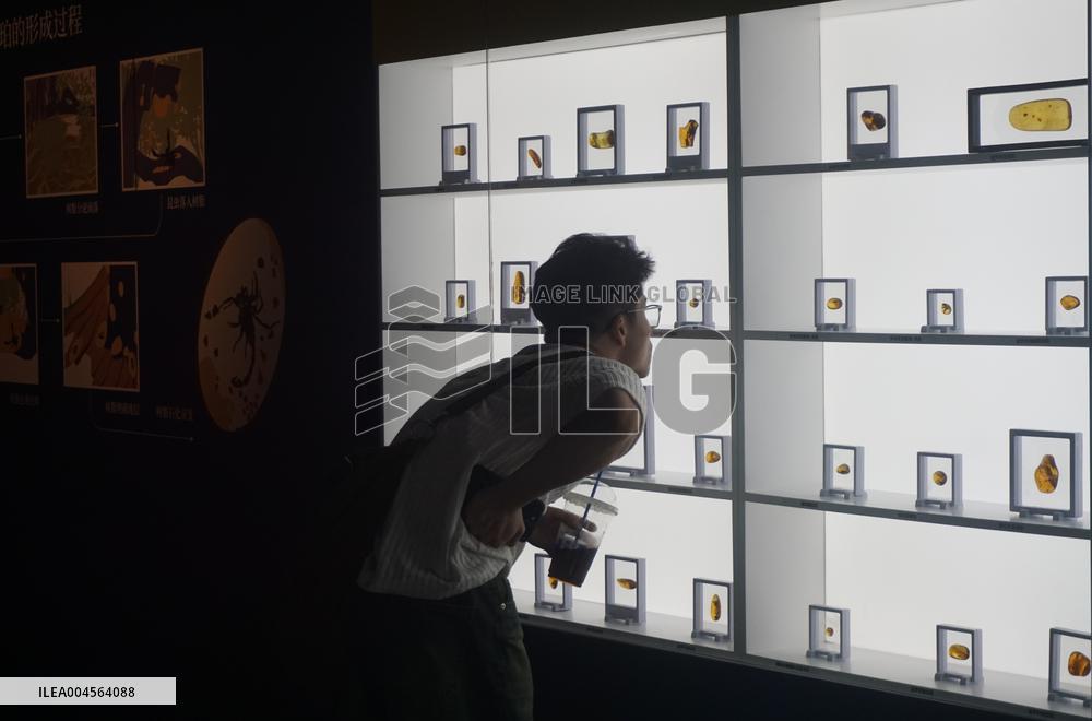 Global Amber Art Exhibition in Hangzhou