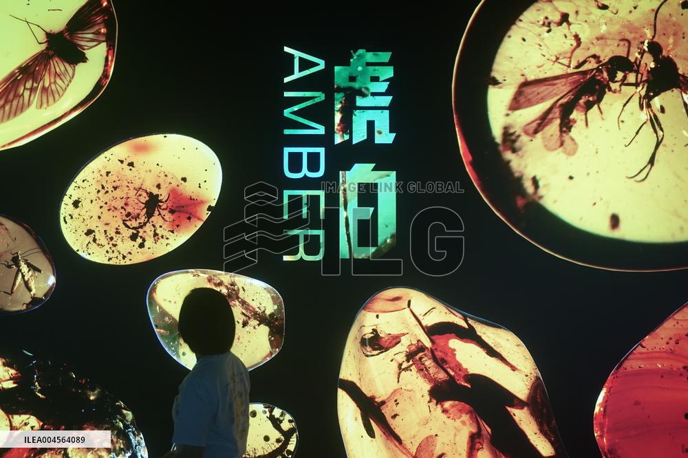Global Amber Art Exhibition in Hangzhou