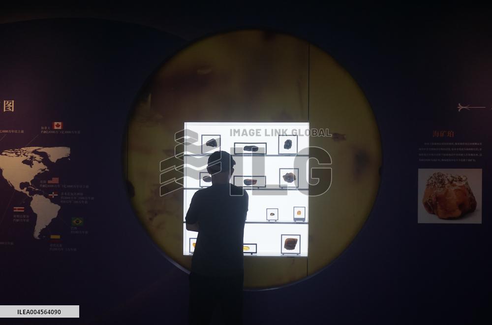Global Amber Art Exhibition in Hangzhou