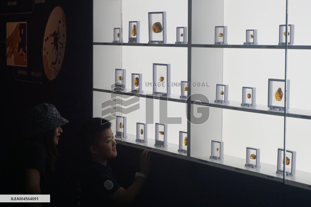 Global Amber Art Exhibition in Hangzhou