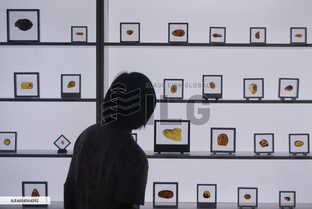 Global Amber Art Exhibition in Hangzhou