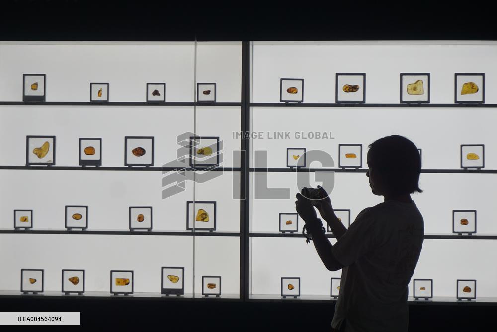 Global Amber Art Exhibition in Hangzhou