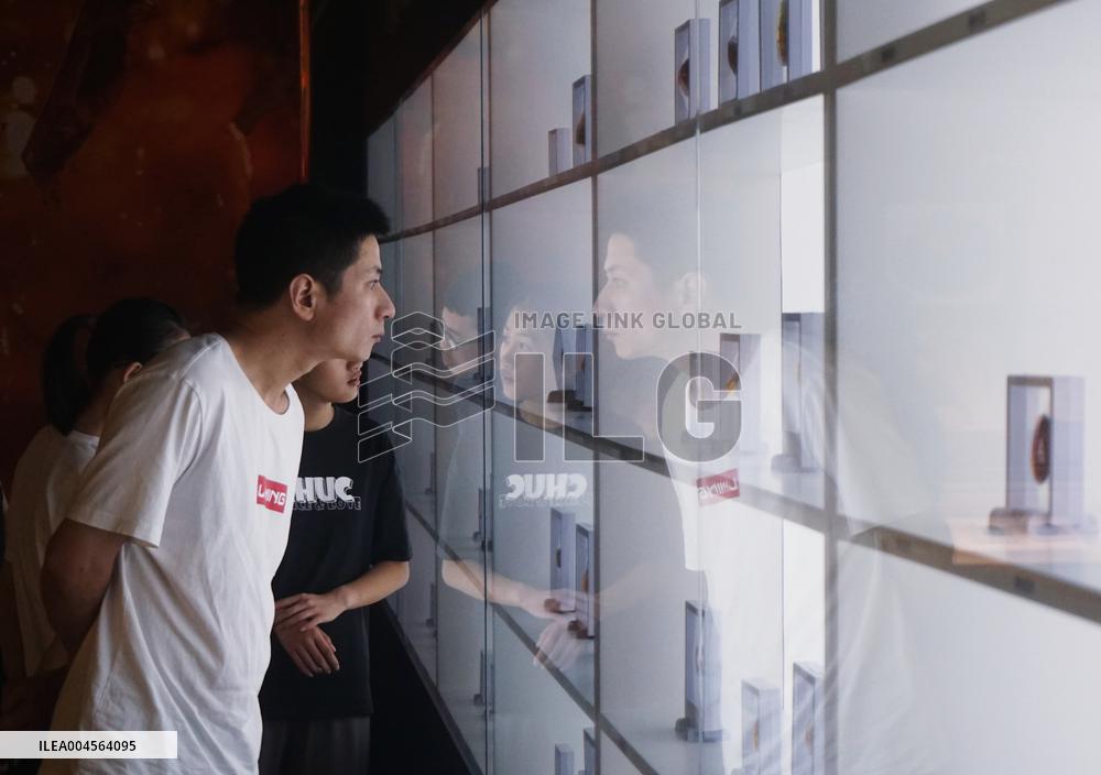 Global Amber Art Exhibition in Hangzhou