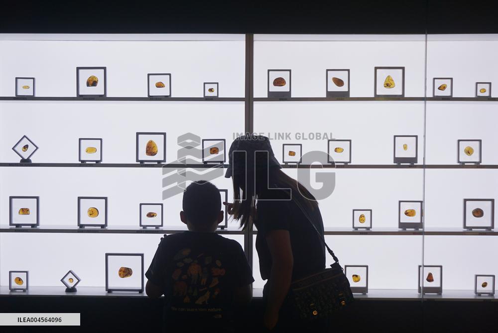 Global Amber Art Exhibition in Hangzhou