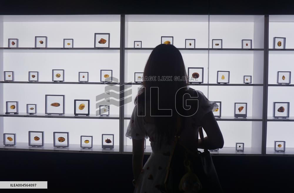 Global Amber Art Exhibition in Hangzhou