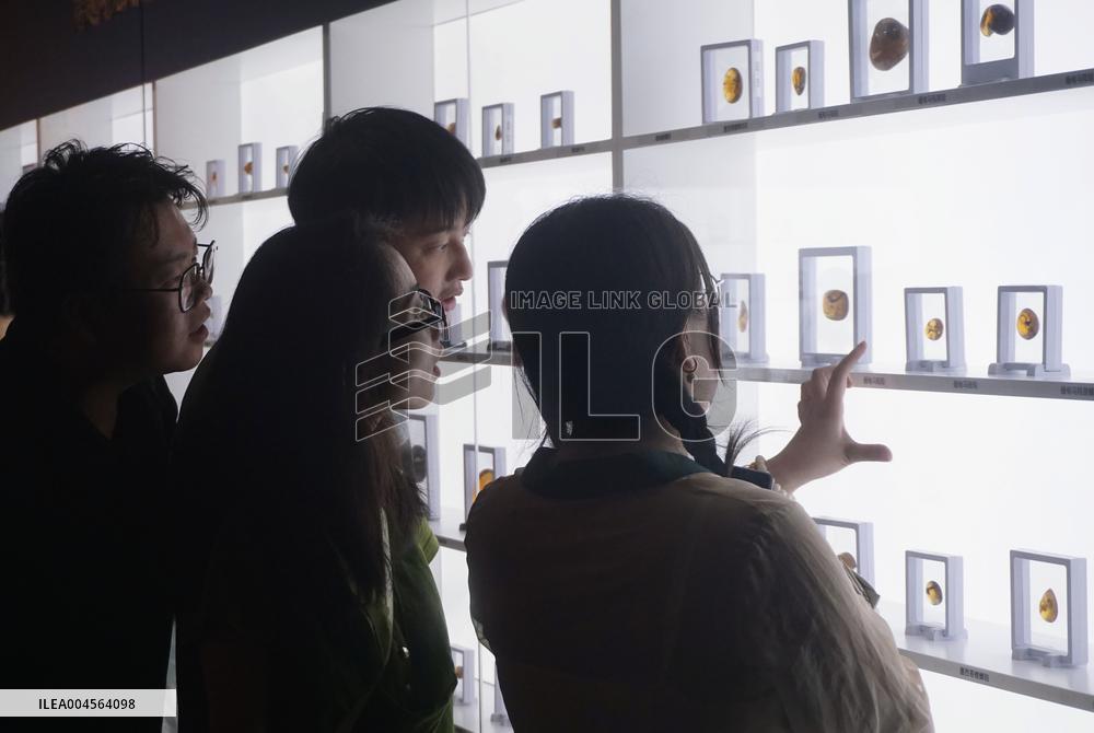 Global Amber Art Exhibition in Hangzhou