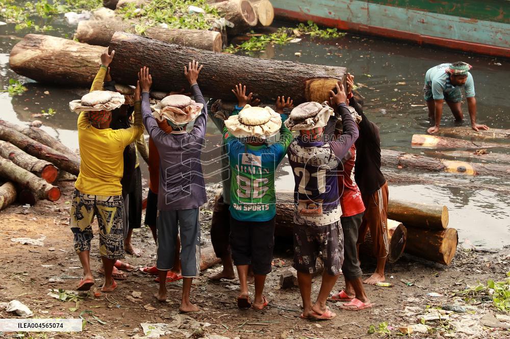 Transporting Trees for Furniture and Other Uses - Bangladesh