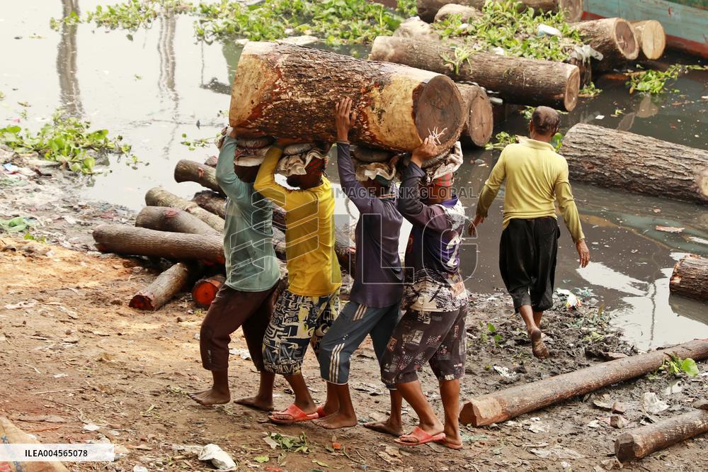 Transporting Trees for Furniture and Other Uses - Bangladesh