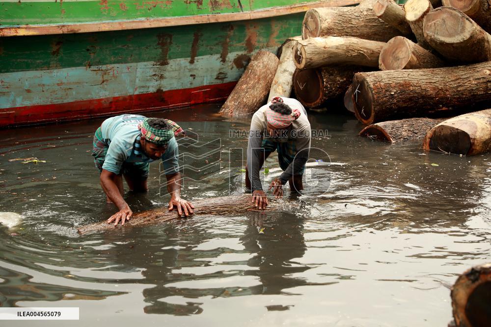 Transporting Trees for Furniture and Other Uses - Bangladesh