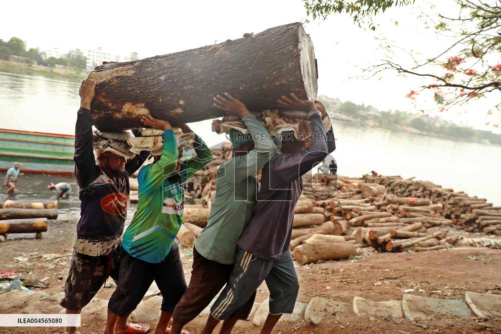 Transporting Trees for Furniture and Other Uses - Bangladesh