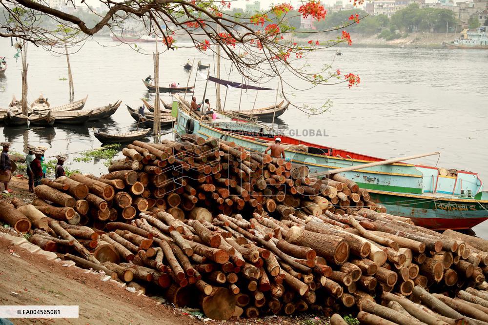 Transporting Trees for Furniture and Other Uses - Bangladesh