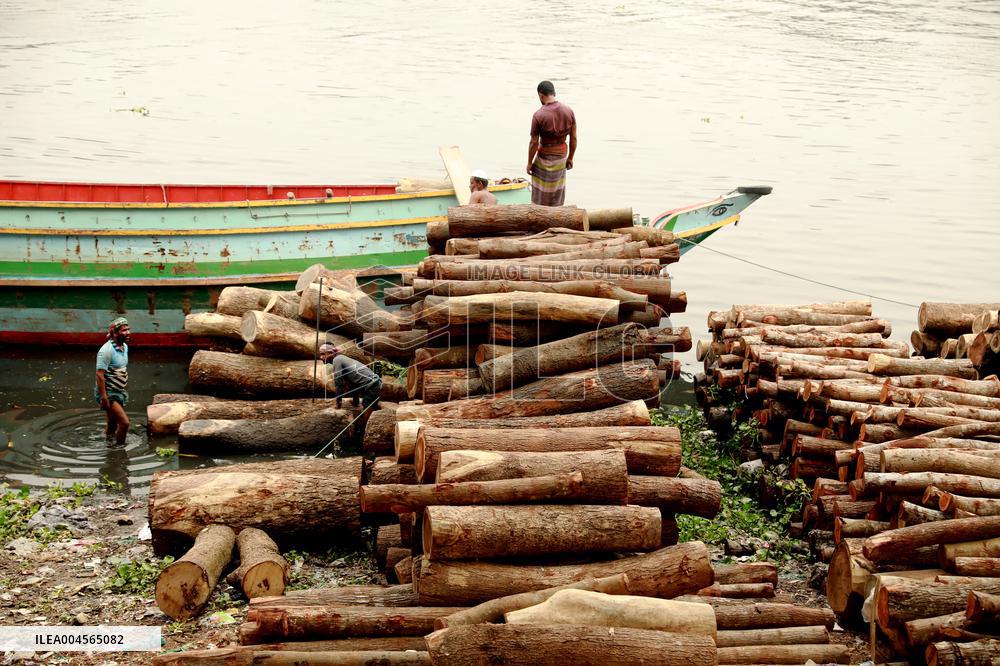 Transporting Trees for Furniture and Other Uses - Bangladesh
