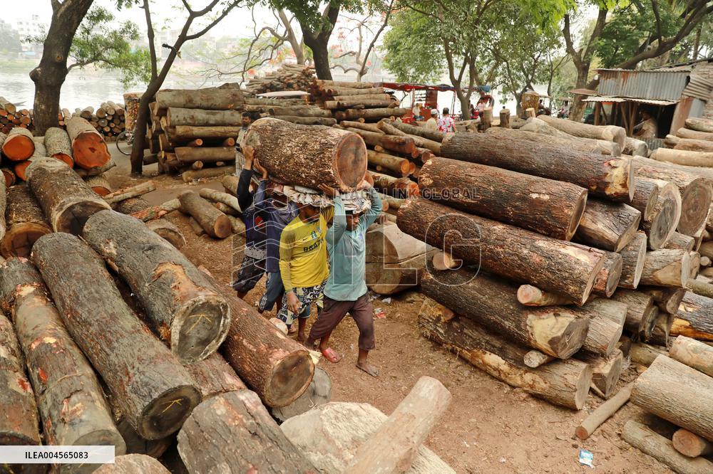 Transporting Trees for Furniture and Other Uses - Bangladesh