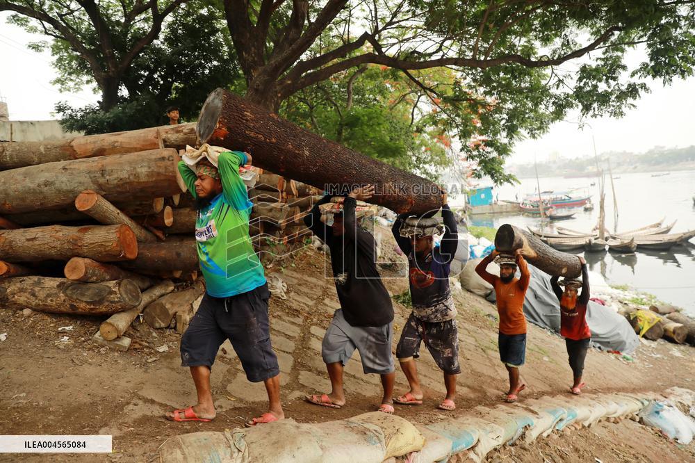 Transporting Trees for Furniture and Other Uses - Bangladesh