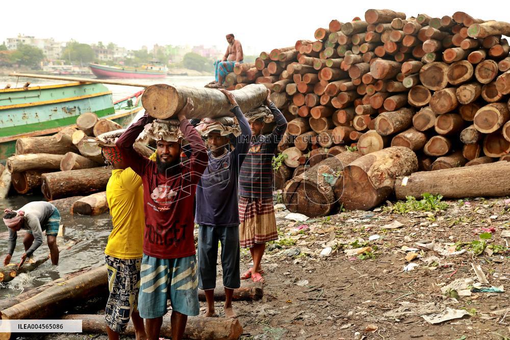 Transporting Trees for Furniture and Other Uses - Bangladesh