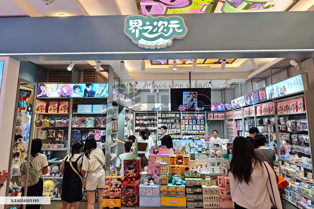 Goods Economy
