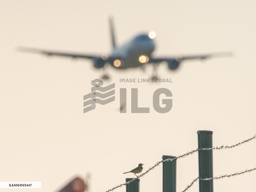 Air Traffic Controllers Strike - France