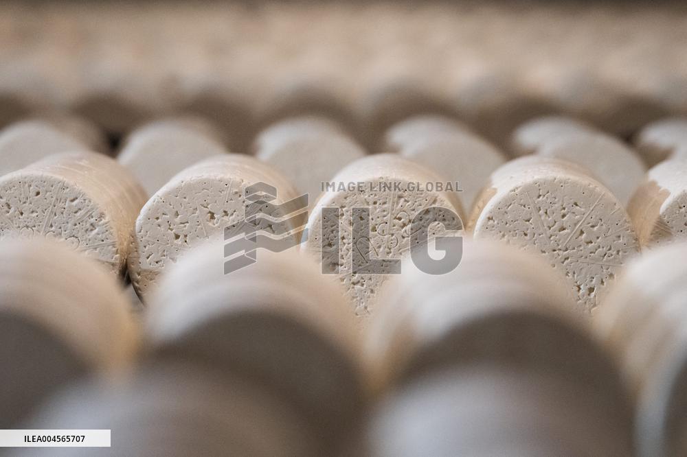 President Macron At cellar of the Roquefort Societe - Roquefort-sur-Soulzon
