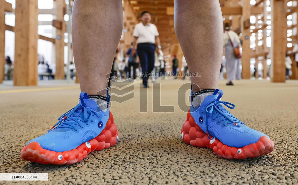 World Exposition in Osaka