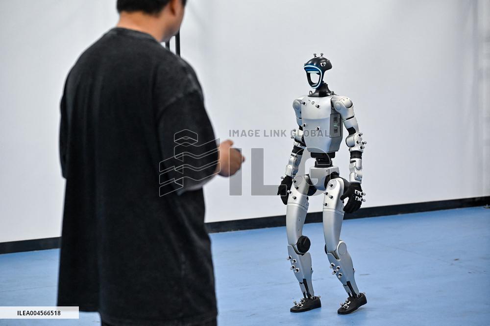 Robotics Industry - China