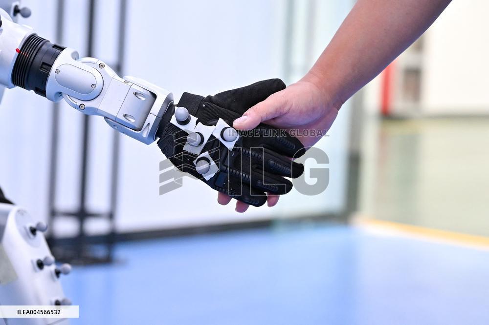 Robotics Industry - China